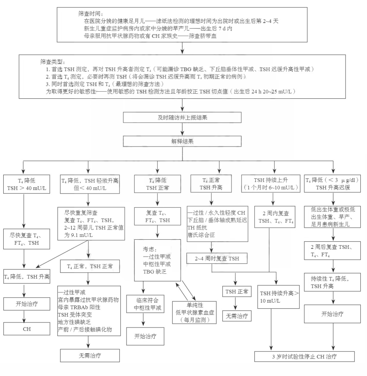 先天甲減診斷流程