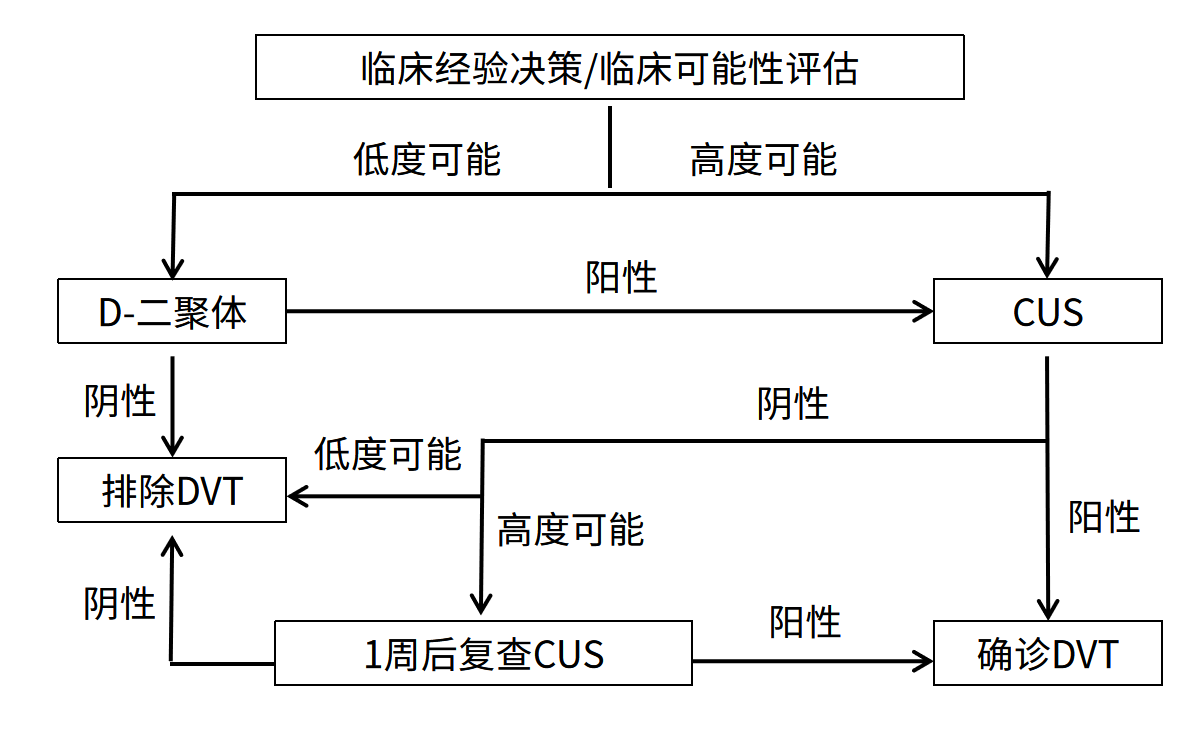 DVT綜合評估和診斷流程