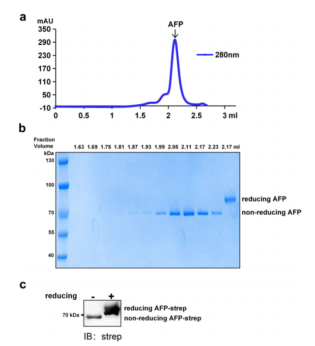 AFP的提取和純化